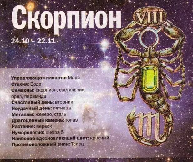 Форум скорпионов совместимость