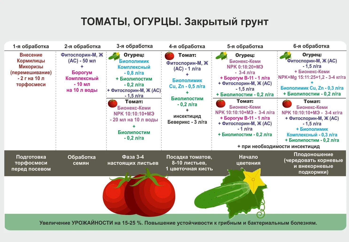 Можно ли сегодня сажать помидоры на рассаду. Схема удобрения рассады томатов. Таблица подкормок овощных культур в теплице. Удобрения для подкормки помидор и огурцов в теплице из поликарбоната. Технологическая карта подкормок томатов для теплиц.