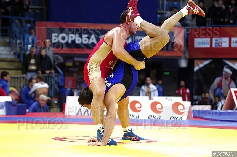 мишин греко римская. евгений салеев. мишин алексей владимирович борец. мишин саранск борец. алексей владимирович мишин российский борец.