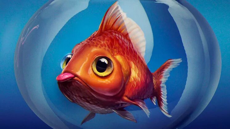 Rûto альбом My Lovely Fish слушать онлайн бесплатно на Яндекс Музыке в хорошем к