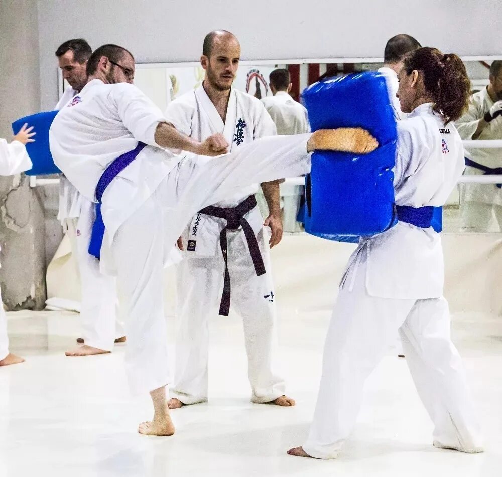 Каратэ киокушинкай бойцы. Каратэ кекусинкай президент. Каратэ утс кекусинкай. Каратэ киокушинкай бои. Киокушинкай каратэ каратист.