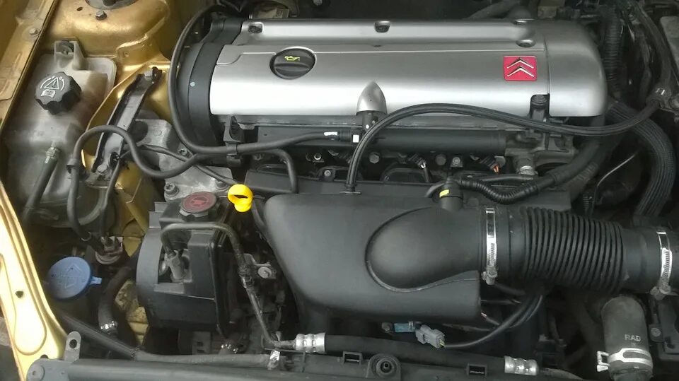 Ситроен ксара пикассо 1. Двигатель ситроен ксара. Ситроен ксара 1. С. Двигатель citroen xsara picasso 1.