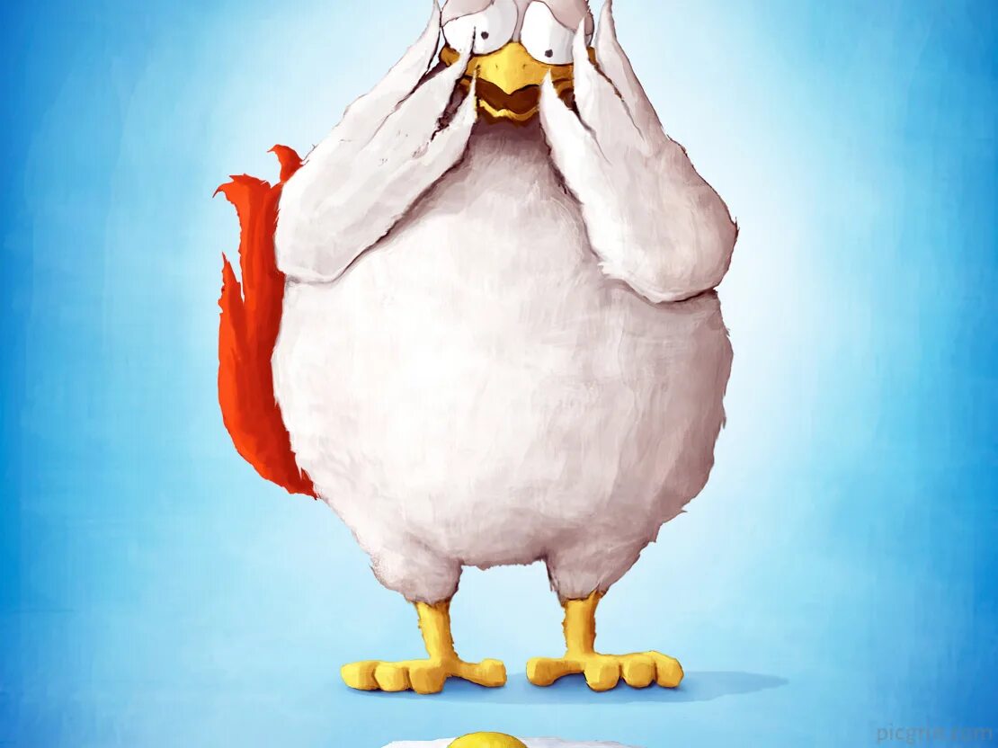 Реклама курочки. Реклама курицы. Веселая курица. Куры реклама.