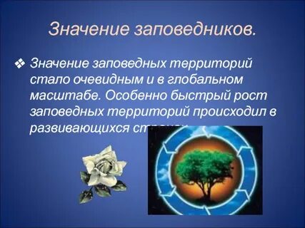 Значение заповедных лет