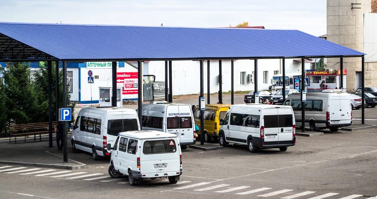 Автовокзал оренбург терешковой телефон. Междугородный автовокзал Оренбург. Оренбургский Пригородный автовокзал, Оренбург. Автовокзал Оренбург Терешковой. Автовокзал Бузулук.