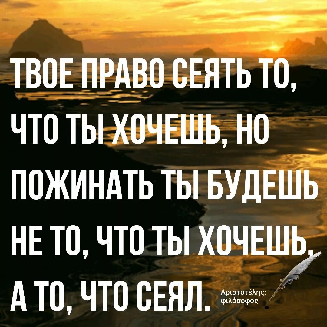 Что посеешь то и пожнешь объяснить смысл. Твоё право сеять то что ты. что посеешь то и пожнешь цитаты. твое право сеять то что ты хочешь но. что посеет человек то и пожнет.