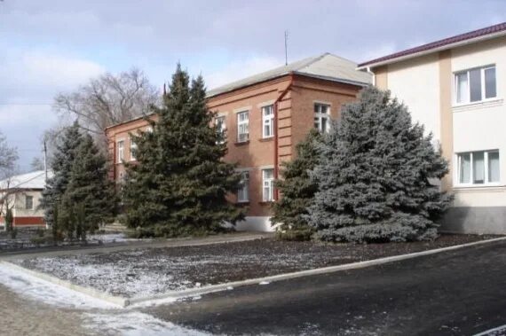 Храм в станице егорлыкской ростовской области. Сош 11 егорлыкская директор. Егорлыкская зерноград. Егорлыкская зерноград. Егорлыкская зерноград.