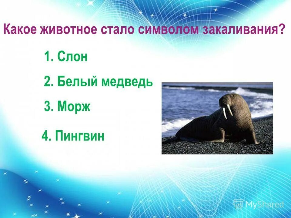 Закаливание виды закаливания. Какое животное стало символом закаливани. Какое животное символ закаливания. Закаливание символ. Закаливание по биологии.