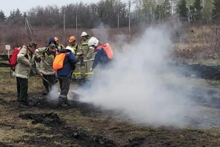 Вольское лесничество. Соревнования учения по тушению лесных пожаров. Пожар в Вольске. Учения по тушению лесного пожара в с Архангельское Уржумского района.