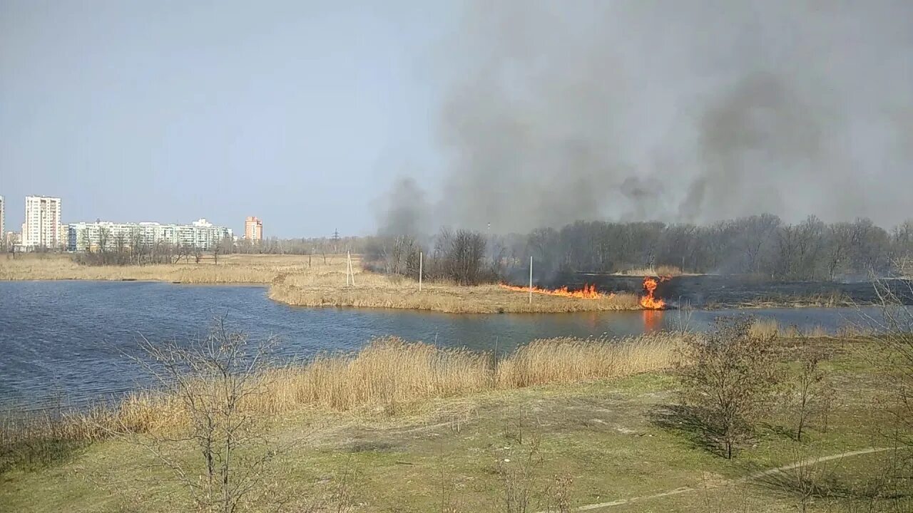 Горит берег. Пожар возле реки. пожар в леваде. на озере подпалил. горит берег ушаковки фото.