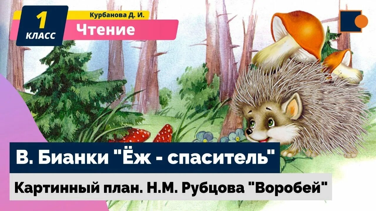 Бианки еж. Еж спаситель бианки. сказка еж спаситель. еж спаситель картинный план. сказка в бианки про ежика.