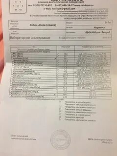 Хеликс аллергены