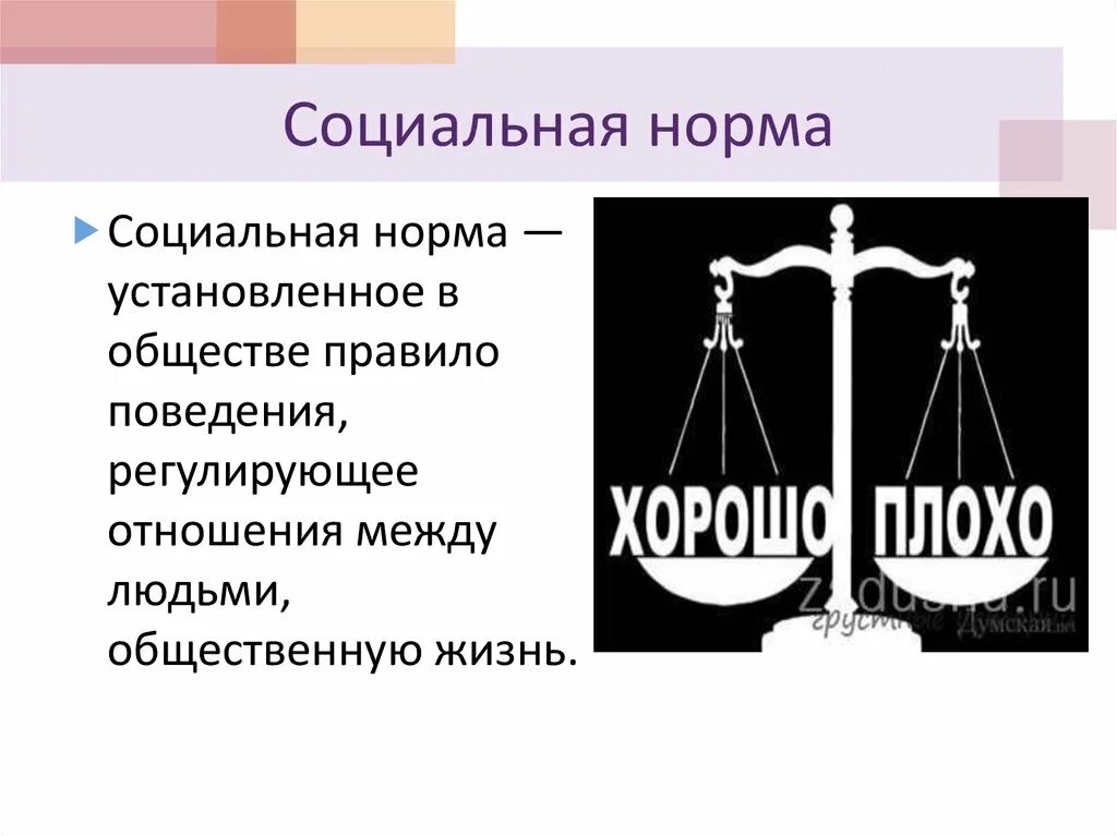 Социальные нормы. Роль социальных норм в обществе. Функции социальных норм. Виды социальных норм. Какой вид социальных норм иллюстрирует изображение