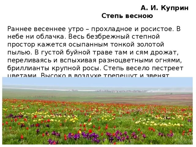 Впр 8 класс русский раннее весеннее утро. Куприн степь весною. Степь весной Куприн. Куприн раннее Весеннее утро прохладное и росистое. Степь ранней весной.