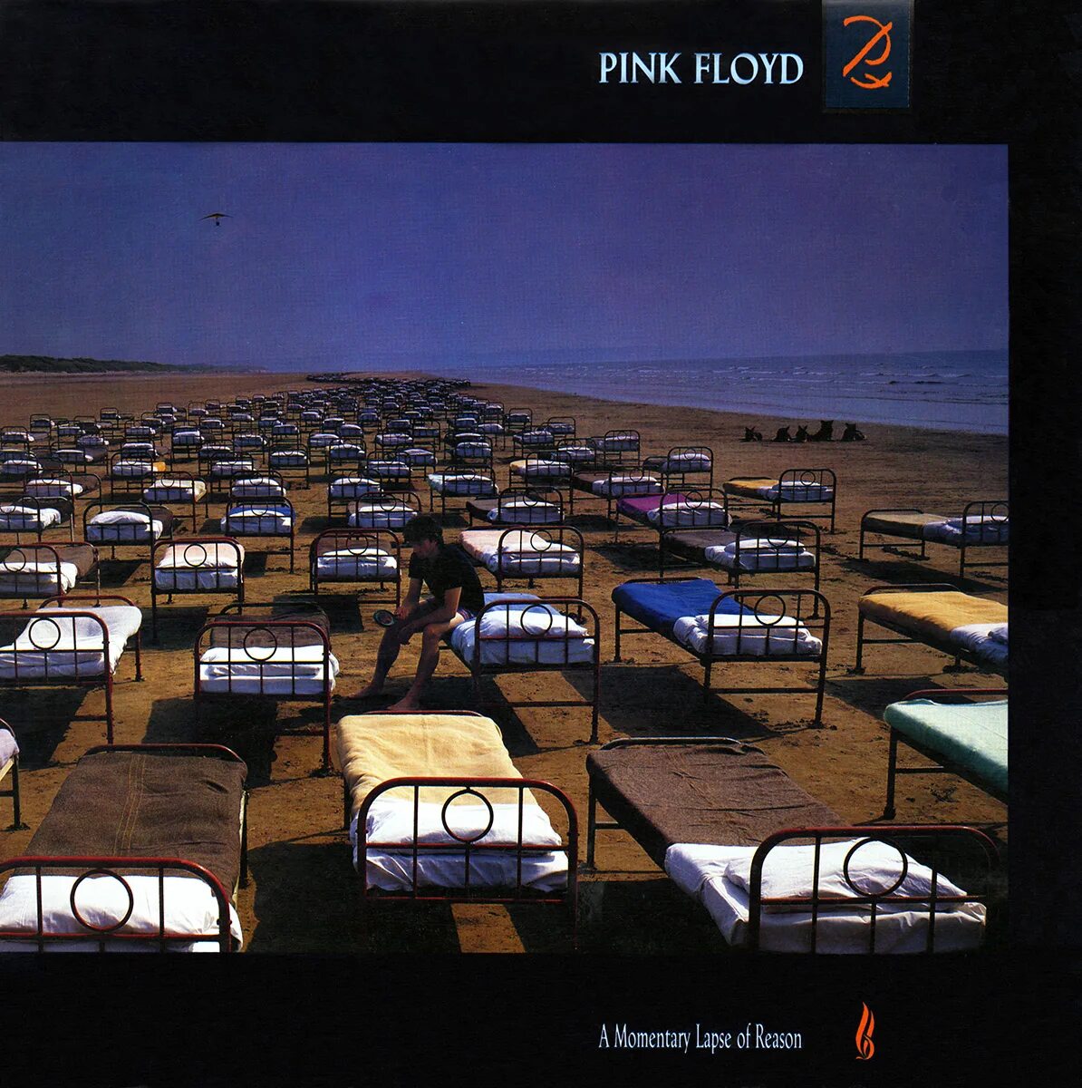 Momentary lapse of reasoning. Pink Floyd a Momentary lapse of reason. Pink Floyd a Momentary lapse of reason 1987. Pink Floyd a Momentary lapse of reason обложка. Pink Floyd a Momentary lapse of reason фото.