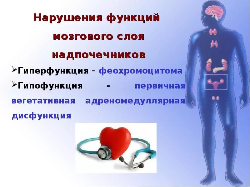 Гиперфункция мозгового слоя надпочечников. Мозговое вещество надпочечников гипофункция и гиперфункция. Гиперфункция надпочечников железы. Гиперфункция надпочечников адреналин. Гиперфункция мозгового вещества надпочечников