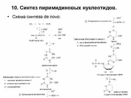 Синтез пиримидиновых