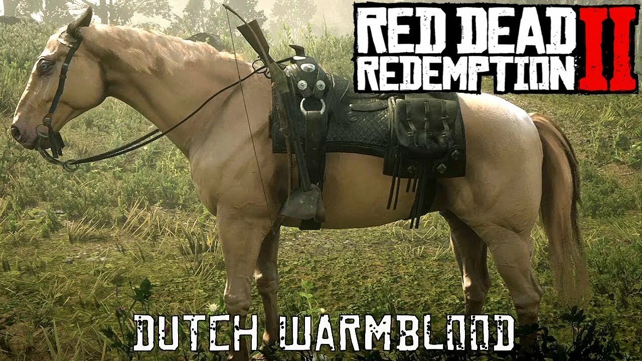 Red Dead Redemption 2 Бьюэлл. Red Dead Redemption 2 Бьюэлл лошадь. Red Dead Redemption 2 датч. Конь Бьюэл в Red Dead Redemption 2. Быстрая лошадь в рдр