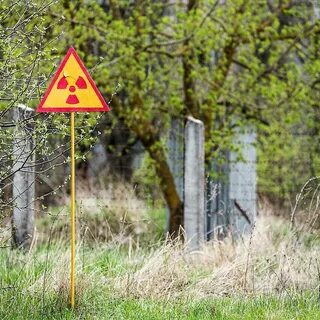Radiation environment