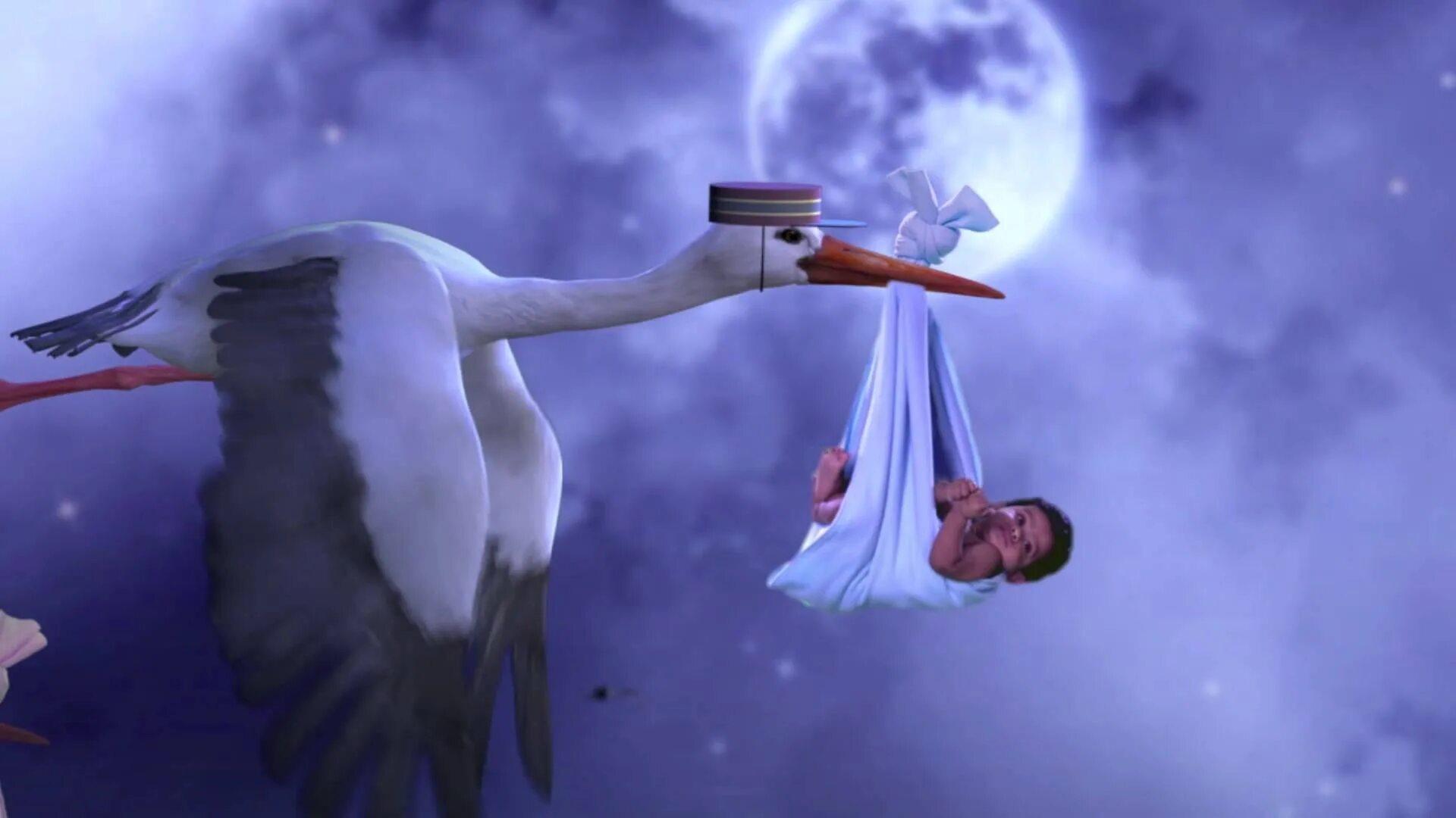 Благовещение голуби. Стихотворение о голубе. Аист с младенцем. Птица с письмом. Аист несет ребенка.