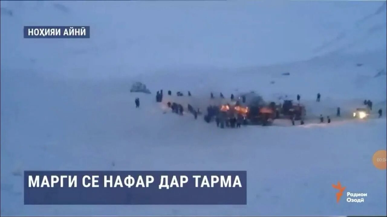 Новоайдар выпускной 2003. Тарма дом рыбокп. Саженцы сосны роснефть волонтеры лесовосстановление. Фото тарма. Тарма таджикистан.