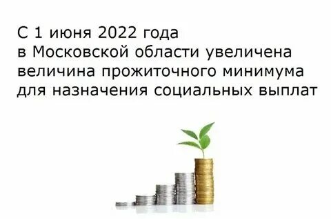 Минимальный прожиточный минимум в волгограде 2025. Минимальный прожиточный минимум в волгограде 2025