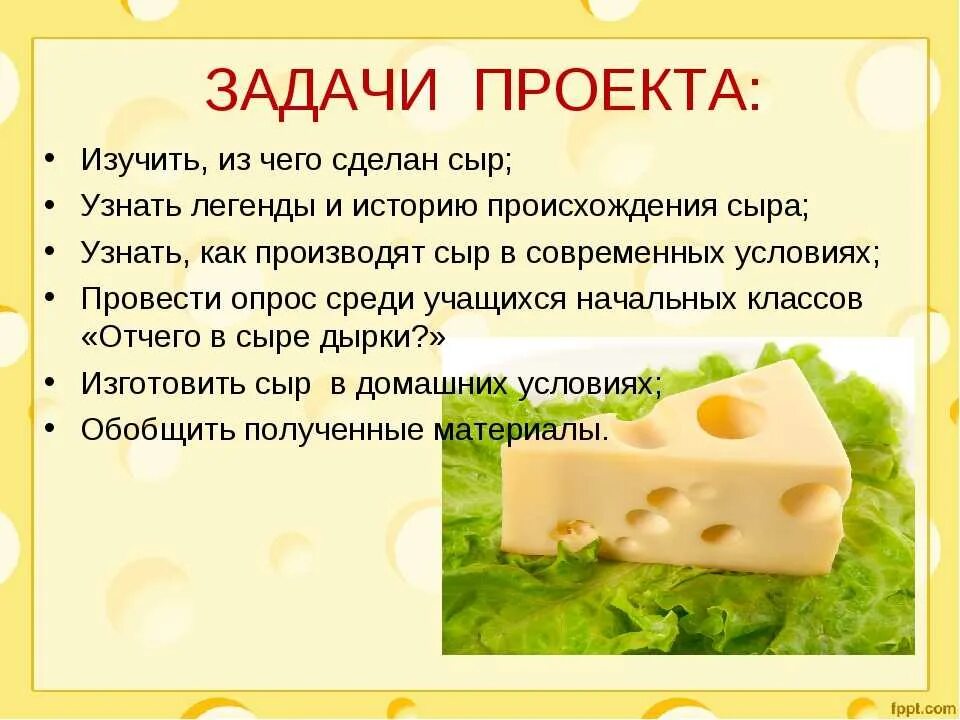 Сыр его польза. Презентация на тему сыр. проект про сыр. сыр для презентации. проект на тему сыр.