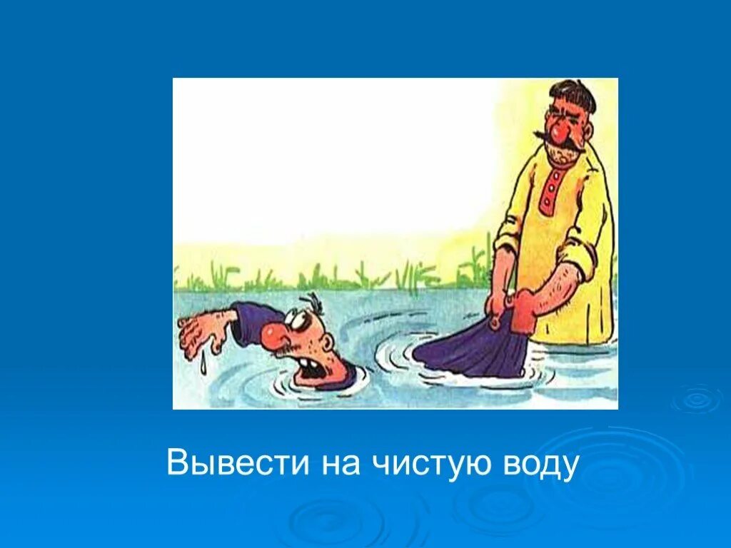 Засучи фразеологизм. Фразеологизм вывести на чистую воду. Фразеологизм выводить на чистую воду. Вывести на чистую воду значение фразеологизма. Выведу на чистую воду.