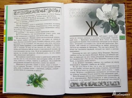 Великан на поляне 2 класс окружающий