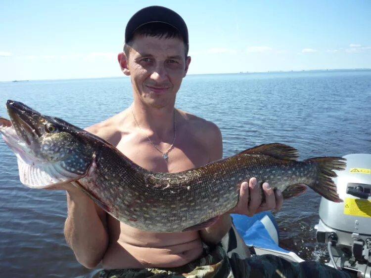 река кема вологодская область рыбалка. рыболовство в вологодской области. рыбы ленинградской области. вологодские рыболовы. рыбалка на белом озере вологодская область.