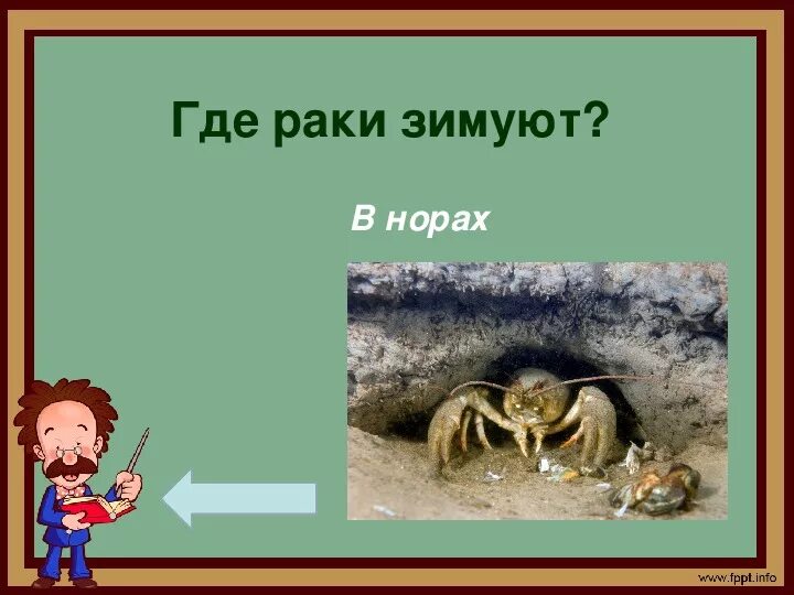 Там раки зимуют. Gde Raki thimyut. Рисунок где река зимуют. Картинка фразеологизм показать где зимуют. Раки? (В подводных норах.