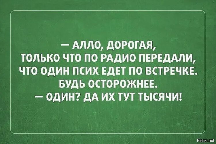 водитель дебил. стих по кривой извилистой дороге текст. гусь в машине. петух на самокате. гопники на жигулях.