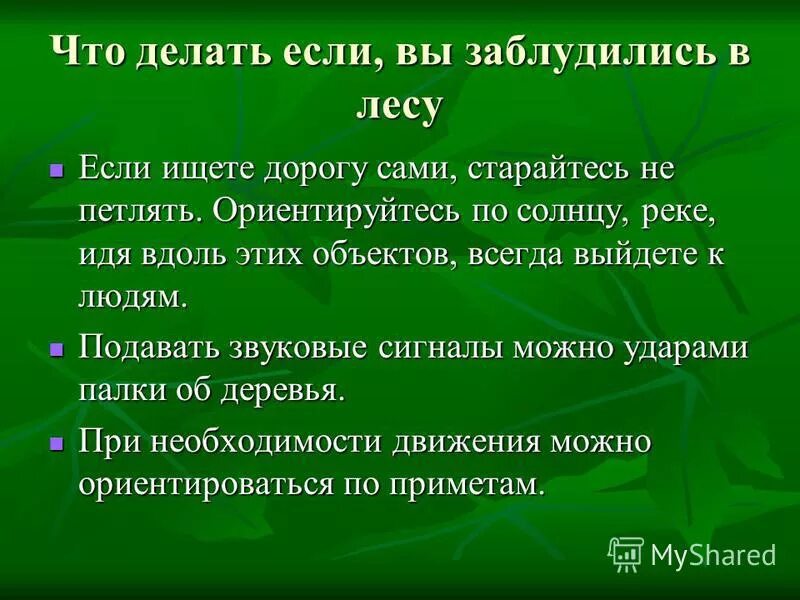 Памятка если ты потерялся в лесу. Памятка если заблудился в лесу. Что делать если заблудился в лесу. Кратко если ты заблудился в лесу. Чтобы не заблудиться я решил вернуться