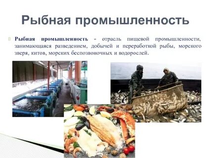Районы рыбной промышленности