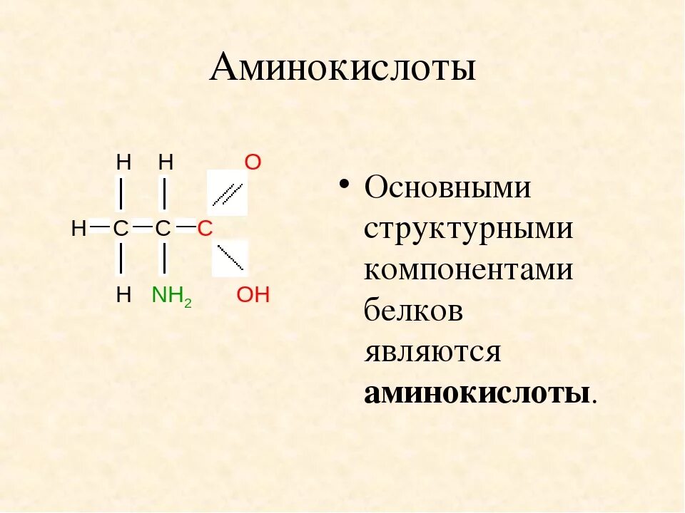 Свободные аминокислоты. Аминокислоты. общее строение аминокислот. белки аминокислоты. амины аминокислоты белки.
