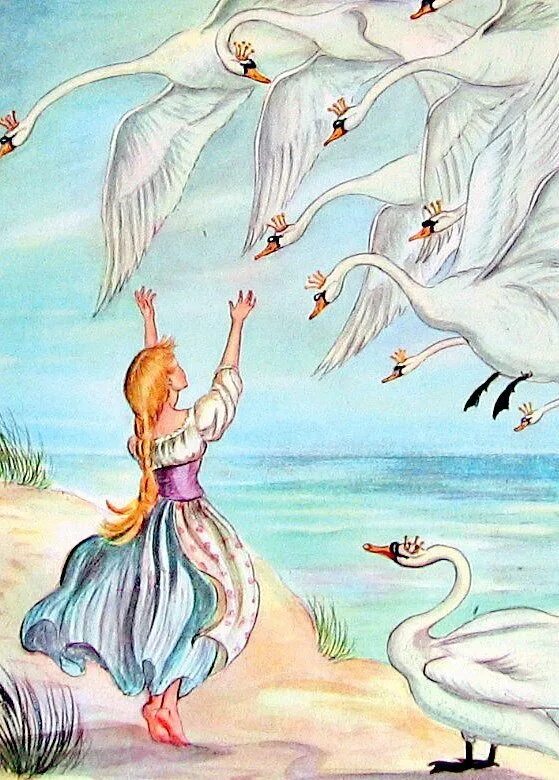 Дикие лебеди сказка андерсена. Дикие лебеди ханс кристиан читательский дневник. Дикие лебеди андерсен книга. Гуси лебеди андерсен. Сказка ганса христиана андерсена дикие лебеди.