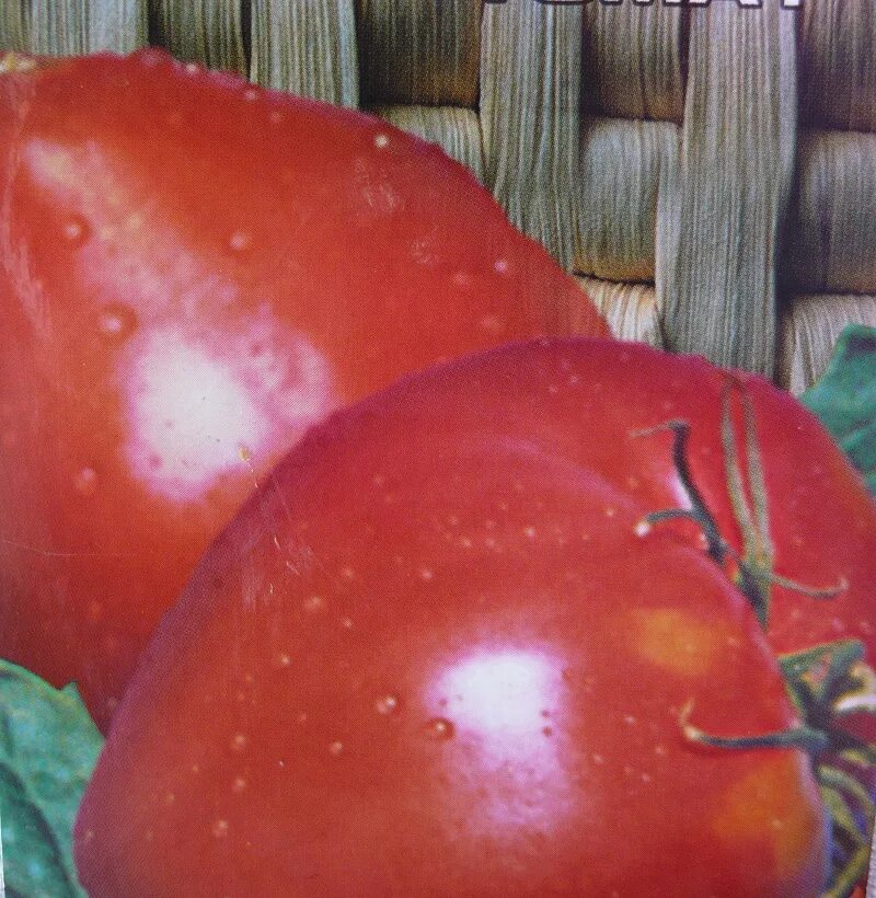 крупноплодный помидоры сорта. сибирские томаты для теплиц высокоурожайные сорта. полудетерминантные сорта томатов. томат долина роз. сорт помидоров старт.