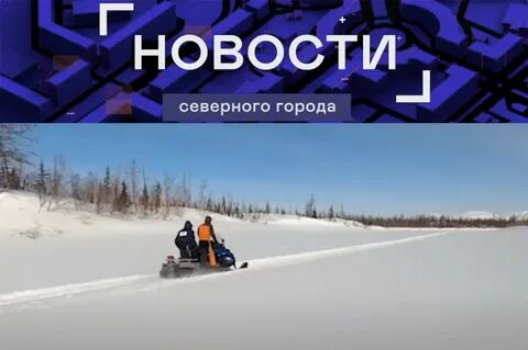 Проект жив севера