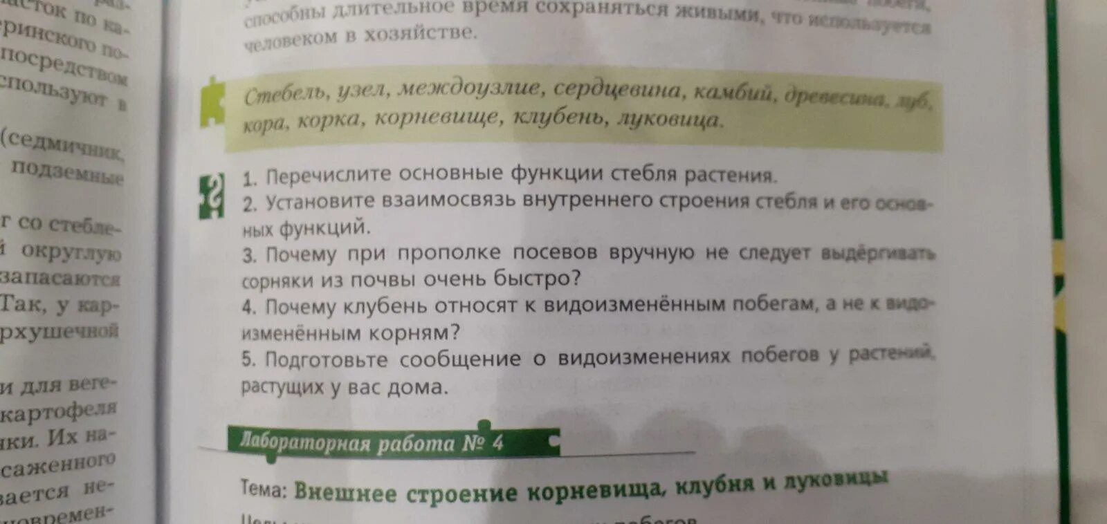 Решу вопрос биология 6. Вопросы по биологии 6 класс. Интересные вопросы по биологии. Школьные вопросы по биологии 6 класс. Вопросы для викторины по биологии для 10 класса.