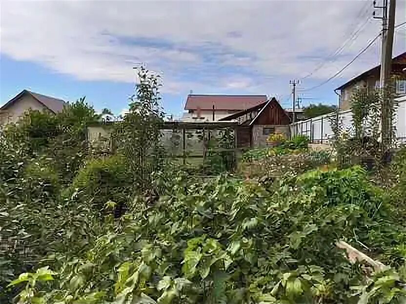 Сибирский садовод иркутск. Снт садовод. Сибирский кедр снт пыть ях. Сибирский садовод иркутск. Сибирский садовод иркутск.