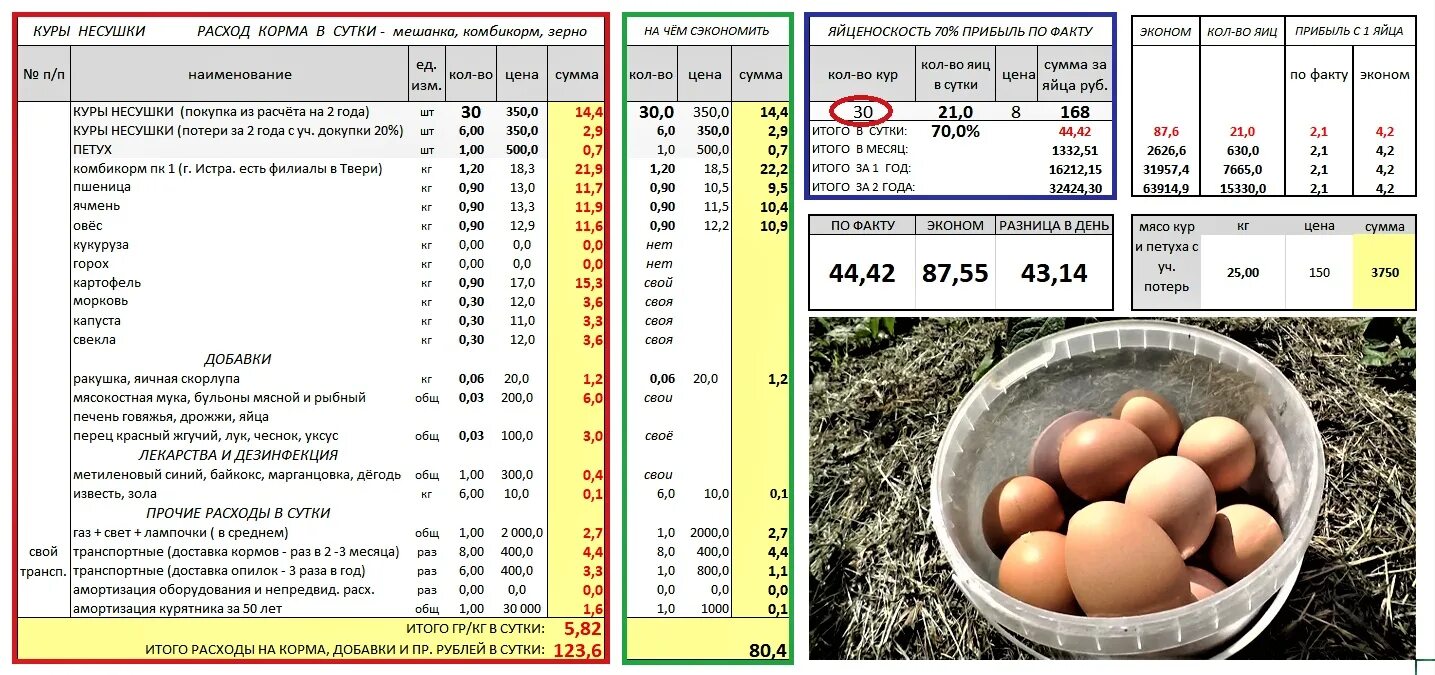 Сколько куры дают яйца. Расход корма для кур несушек. Таблица расхода корма для кур несушек. Нормы комбикорма для кур несушек. Нормы расхода корма для кур несушек.