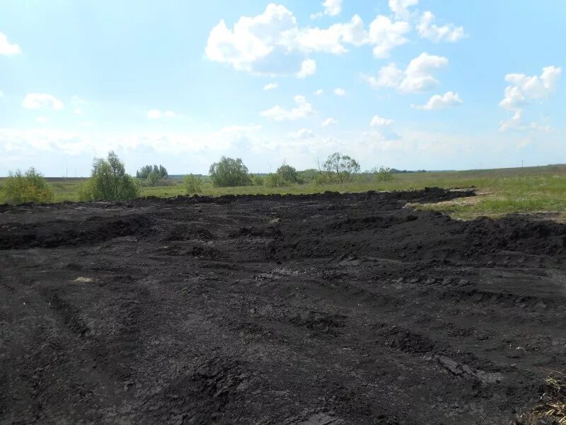 перемещение плодородного слоя почвы. перемещение плодородного слоя почвы. снятие почвенно-растительного слоя. рекультивация плодородного слоя почвы. перемещение плодородного слоя почвы.