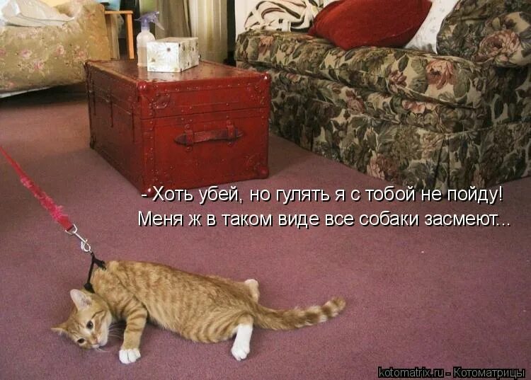 придет в дом не выгонишь пора