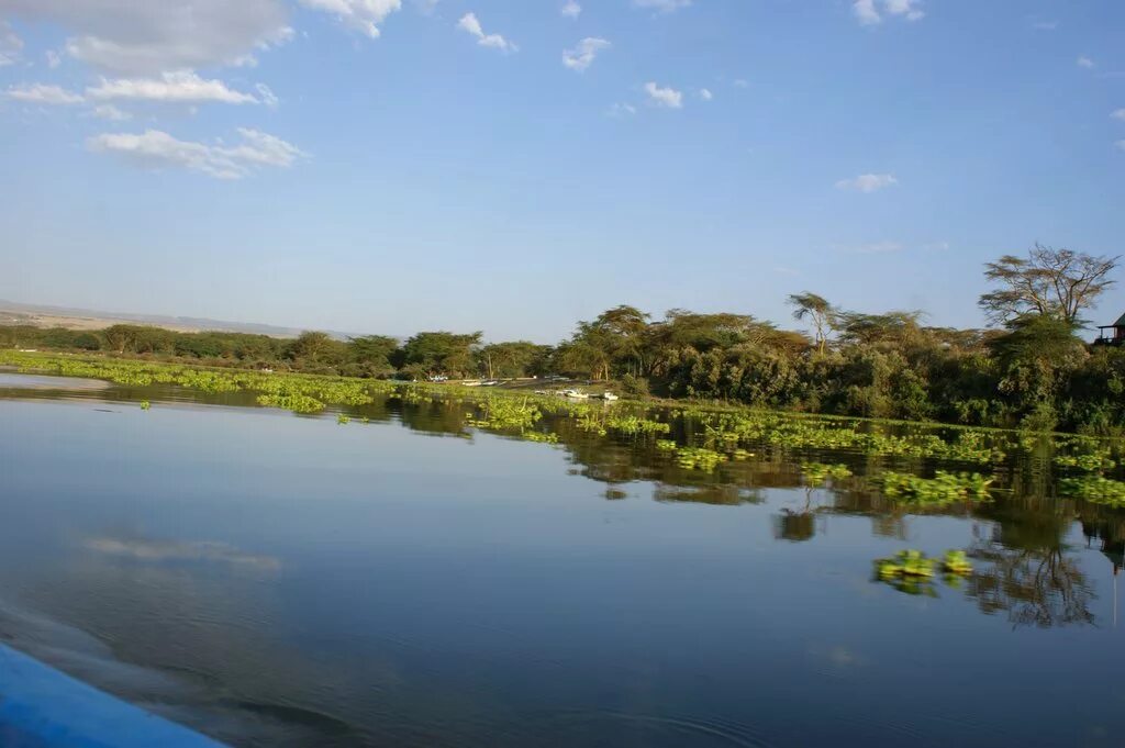 Озеро Найваша Кения. Озеро Логипи Кения. Озеро Туркана Кения. Восточно африканские озера