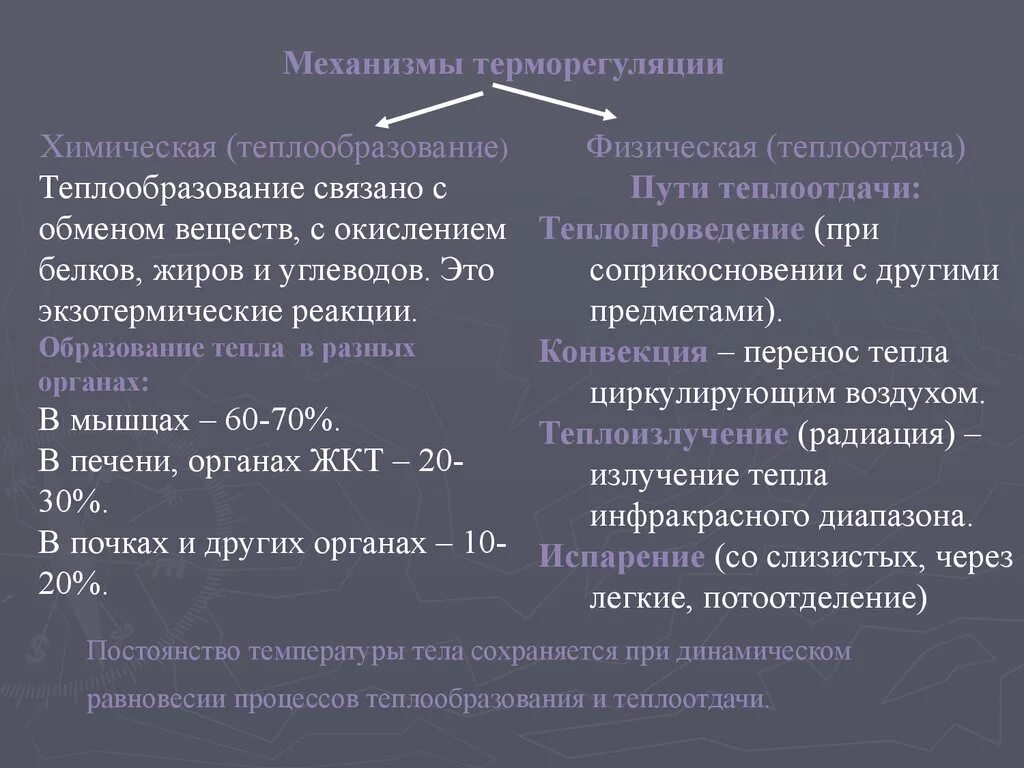 В теплоотдаче главную роль играет. Физиологические механизмы теплообмена и терморегуляции. Механизмы образования тепла в организме. Химическая и физическая терморегуляция ее механизмы. Механизмы теплообразования и теплоотдачи.