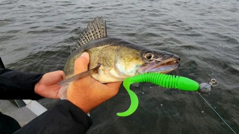 акватория спиннинга