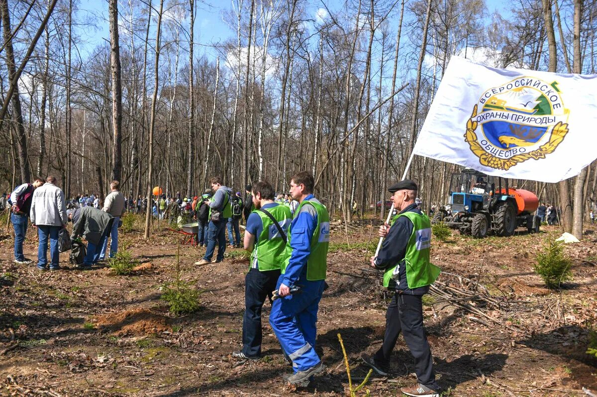 Примеры экологического общества. Всероссийское общество охраны природы (ВООП). Экологические мероприятия. Объединение по защите природы. Мероприятия по защите природы.