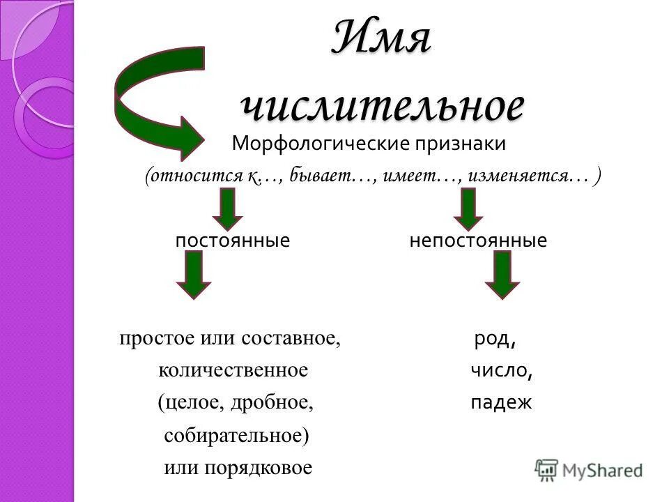 Морфологические и синтаксические признаки имен числительных. Числительное постоянные признаки. Морфологические особенности числительных. Род имен числительных. Как определить число у числительных.
