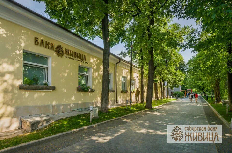 живица москва. баня живица новая басманная. живица москва. живницакедровая подсочка. живица болотная.