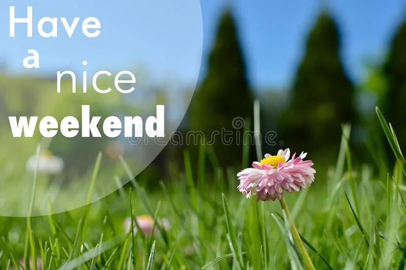 A nice i go on. Have a nice weekend. nice weekend картинки. have a nice weekend pictures. have a great weekend.